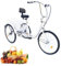 czyuRachel 24 Zoll Erwachsene Dreirad, 6-Gang Tricycle 3 Räder Fahrrad Outdoor-Dreirad Mit Einkaufskorb Erwachsene Senioren Städtisches Dreirad Gut Für Picknicks Einkäufe Im Freien, Weiß