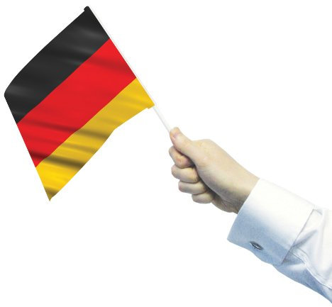 Amscan 12 Fähnchen Deutschland