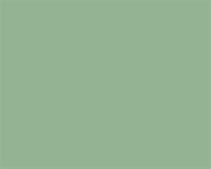 Crown Trade Bamboo Leaf 5L Silk Emulsion