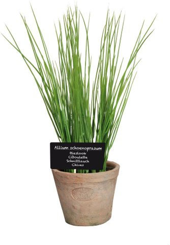 Esschert Design de AH006 Artificiel Grand Pot de Terre Cuite – Ciboulette