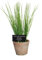Esschert Design de AH006 Artificiel Grand Pot de Terre Cuite – Ciboulette
