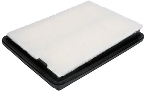 FILTRON AP 124/3 Filtro aria motore Cartuccia filtro