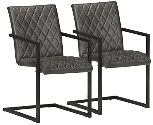 ZQQLVOO Freischwinger 2 STK. Grau Echtleder, Bequemer Polsterstuhl, Stuhl Esszimmer, Küchenstuhl, Esszimmer Set, Wohnzimmerstühle, Chairs for Living Room