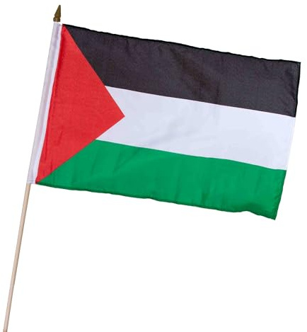 Everflag Stock-Flagge 30 x 45 : Palästina