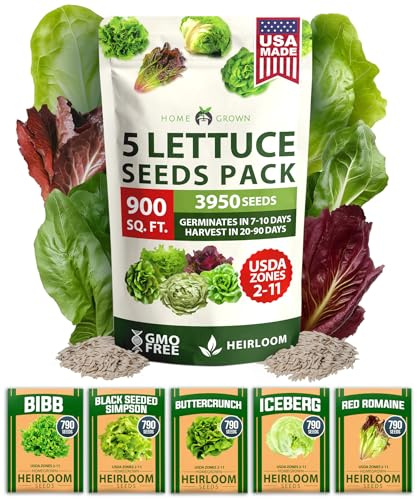 HOME GROWN Lettuce Seeds 5 Variety Mix 3950+ Bulk Pack Heirloom Non-GMO, High Germination, Romaine, Bibb, Buttercrunch, Iceberg, Black Seeded Simpson, Indoor Outdoor Hydroponic Garden (Lactuca sativa)