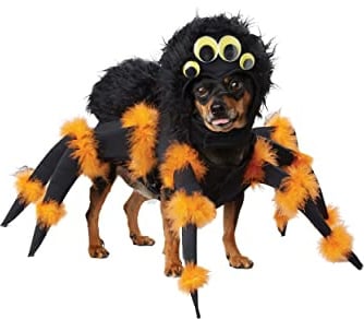 California Costumes Spider Pup Costume Medium