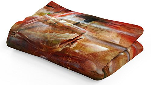 PICANOVA – Ballerina 100x70cm – Extraweiche Decke, 525g/qm – Absolute Premiumqualität Aus Hautfreundlichem Plüsch – Unschlagbar Weich Und Gemütlich – Design Von Annette Schmucker