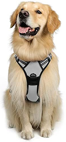 rabbitgoo Hundegeschirr Mittelgroße Hunde, Anti Zug Geschirr mit Kontrolle, No Pull Verstellbar Hundegeschirr Grosse Hunde, Atmungsaktiv Reflexstreifen Brustgeschirr Sichere Führung Grau L