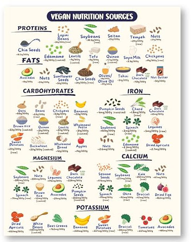 Kühlschrankmagnet mit veganen Gesundheitsnahrungsmitteln, Ernährungsleitfaden für ketoreiche vegane und vegetarische Ernährung, dekorativer Lebensmittelmagnet, Spickzettel, langlebig und wasserdicht,