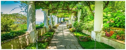 Wallario Küchenrückwand selbstklebend 115 x 50 cm, Motiv: Blühende Pergola | Spritzschutz abwischbar & pflegeleicht