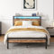 HOJINLINERO Double Bed Frame with Storage Shelf & LED lights,4ft6 Metal Bed Frame Double Bed with Charging Station,Mattress Base/Underbed Storage,Heavy Duty Bed 135x190cm Slats Support,Black & Brown