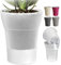 Happy Plants Orchideentopf D 12,5 cm Blumenkübel mit integriertem Wasserstandsanzeiger, selbstbewässernder Blumentopf mit Docht, Selbstbewässerungssystem für Orchideen - Transparent 1,25 Liter