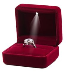 DELALO® Ring Box mit LED Licht - Ringschachtel Ring Samt - Ringschatulle mit LED-Beleuchtung - Für Verlobung, Antrag, Hochzeit (Bordeaux)