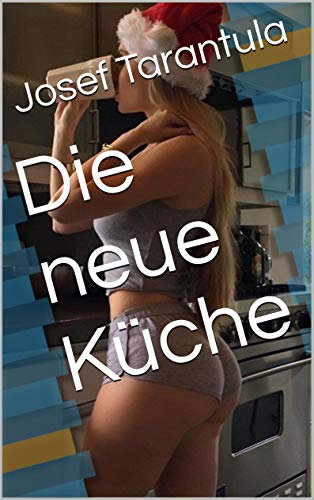 Die neue Küche (Hausumbau 1)