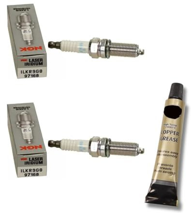 2x Zündkerzen von NGK passt für Fiat 500 0.9 TwinAir 59/63/77kW Bj. 2010-2019 + Kupferfett