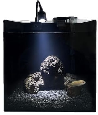 pecera Acuario de Cristal Cuadrado Negro. Pequeño Acuario de Escritorio de una Pieza de Cristal con Accesorios.