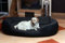 tierlando Hundebett Philip Hundesofa - Kunstleder - Velours - XL XXL XXXL - 110cm bis 170cm - Dogge, Ridgebacks 03 Schwarz - PH5-AL-03