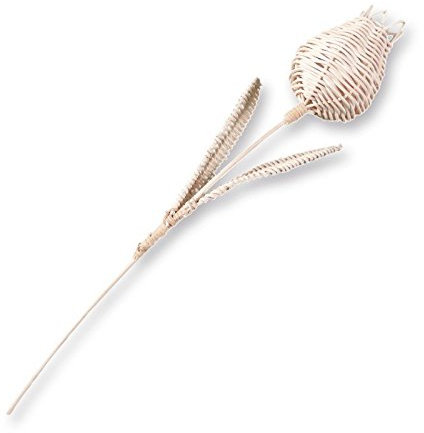 Zita's Creative Bastelset - Tulpe, Flechten, Korbflechten, Schilf Set, Peddigrohr, Flechtmaterial, Flechtset, Rattan