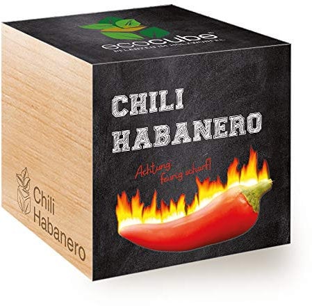 Feel Green 296435 Ecocube Chili Habanero, Feurig Scharf, Nachhaltige Geschenkidee (100% Eco Friendly), Grow Your Own/Anzuchtset, Pflanzen Im Holzwürfel 7.5 cm, Made in Austria