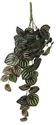 Mica decorations Peperomia - Kunsthängepflanze - Bunt - H58 cm