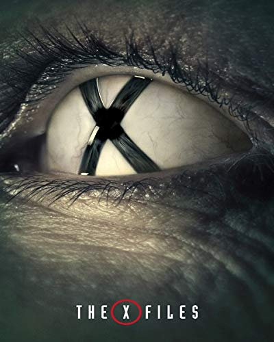 The X-Files Poster 30 x 40 cm