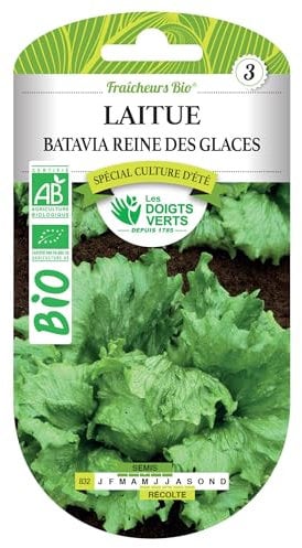 Graines laitue batavia reine des glaces BIO Les Doigts Verts
