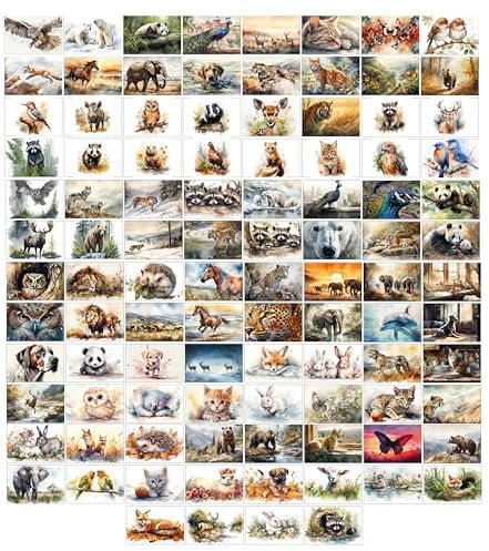 the lazy panda card company Drawn Animal Art Box - 100 Postkarten von Tieren in Aquarellen gezeichnet - 100 verschiedene Designs (100 gezeichnete Tiere), gemischt