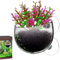 Pot de aquatique avec ventouses - Pot de fleurs vivantes pour aquarium - Pot de vivantes - Transparent - Pour décoration d'aquarium