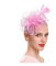 YUEZHAN Stirnband Haarband Damen Fascinators Hut Mit Mesh-Blume Faux Pearl Feder Dekor Kopfstück Tea Party Kopf Bedeckung Clip Retro Hair Hoop Party Stirnband Pink