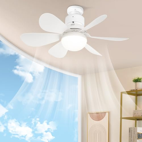Laybasic Deckenventilator mit Beleuchtung und Fernbedienung, Klein LED Dimmbare Deckenleuchte mit Ventilator, E27 Sockel Ventilatorlicht, Timer, 3 Windstufen, für Schlafzimmer