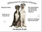 Merchandise for Fans Blechschild/Warnschild/Türschild - Aluminium - 15x20cm - - Willkommen in Meinem Zuhause - Motiv: Dogge Dänische Harlekin Dogge Zwei Tiere nebeneinander - 06