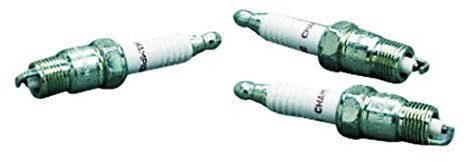 - Greenstar 1445/Werkstatt Champion J19LM, 24 Stück