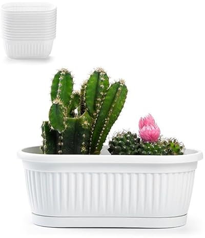 PlasticForte Macetero rectangular de plástico con base de agua y base de agua (blanco, maceta rectangular ovalada de 25 cm)