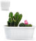 PlasticForte Macetero rectangular de plástico con base de agua y base de agua (blanco, maceta rectangular ovalada de 25 cm)