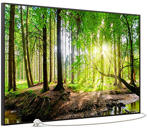 STEINFELD Bild Infrarotheizung mit Thermostat | Made in Germany | viele Motive 350-1200 Watt Rahmen schwarz (900W, 067 Wald Panorama)