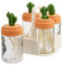 4 Pz Bottiglia Stagionata Di Cactus Contenitori Con Coperchi Contenitori Per Alimenti Contenitori Barattolo Di Spezie Scatola Di Condimento Con Coperchio Bicchiere