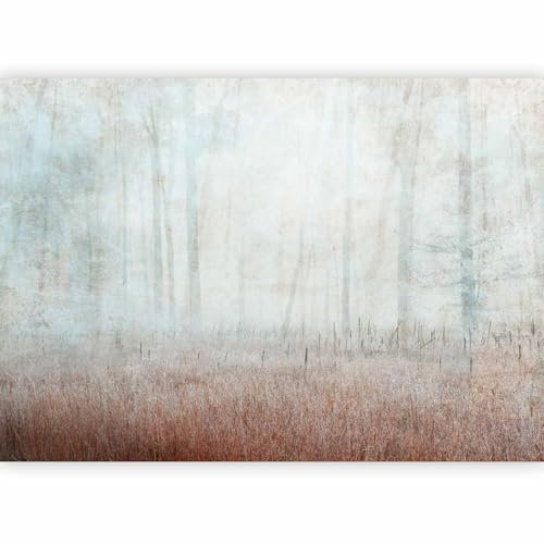 murando PREMIUM Papier peint Paysage 150x105 cm Décoration Murale XXL Poster Tableaux Muraux Tapisserie Photo Foret Arbre Nature comme peint b-A-10260-a-a