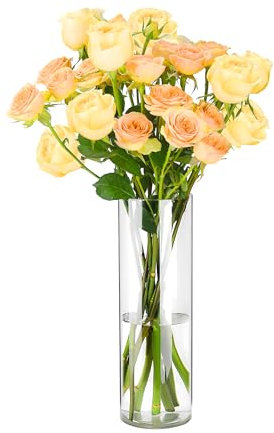 Koelaa Leichte Unzerbrechliche Vase, Blumenvase aus Acryl-Kunststoff – Stylische Transparent-Klare Zylindervase für Hochzeitstischdekor, Einweihungsparty oder Tischdekoration-15x30 cm