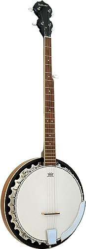 Ashbury AB-35L Banjo (5 Saiten)