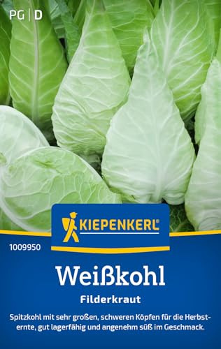 Kiepenkerl Weißkohlsamen Filderkraut 1009950, Gemüsesaat | Inhalt für 50 Pflanzen, Lagerfähig, aromatisch