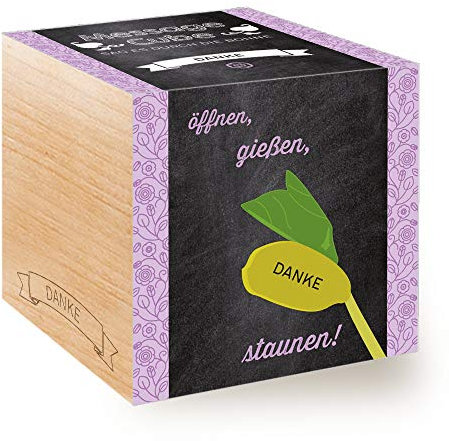 Feel Green Message Cube, Holzwürfel Mit Lasergravierter GlücksbohneDanke, Nachhaltige Geschenkidee, 100% Eco Friendly, Anzuchtset, Made in Austria