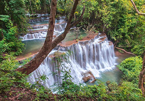 wandmotiv24 Fototapete Wald Tropisch Dschungel Wasserfall, XXL 400 x 280 cm - 8 Teile, Wanddeko, Wandbild, Wandtapete, Thailand M4942