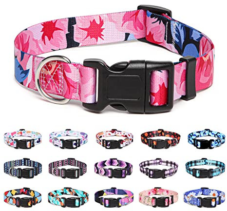 Suredoo Collier pour Chien, Motif Tendance avec Boucle à dégagement Rapide, Collier Classique en Nylon Réglable pour Petits, Moyens et Grands Chiens (M, Fleur Rose)