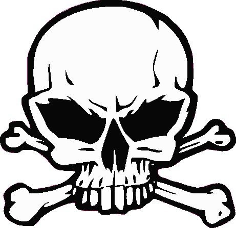 NetSpares 1 x Aufkleber Nummernschild Plakette Ersatz Skull Totenkopf Autoaufkleber Tuning