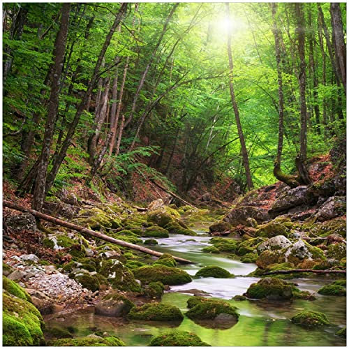 Wallario Glasbild Fluss im Wald - 30 x 30 cm Wandbilder Glas in Premium-Qualität: Brillante Farben, freischwebende Optik