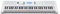 Yamaha EZ300 61-Key Portable Keyboard with Lighted Keys and PA130 Power Adapter