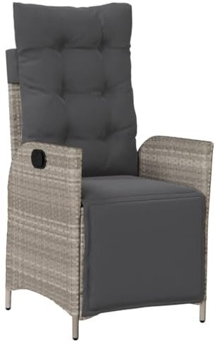 vidaXL Gartensessel mit Fußteil, Gartenstuhl Verstellbare Rückenlehne Fußteil, Sessel Stuhl Stahlrahmen, Gartenmöbel, Hellgrau Poly Rattan