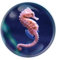Deluxebase Magnidome Seahorse Fridge Magnet – Crystal Glass Dome Animal Magnets for Fridges, Decorative Strong Magnet for Kitchen Accessories, Novelty Gifts and Cute Home Decor.