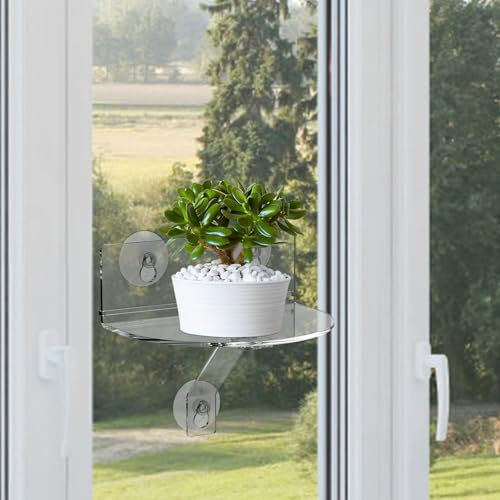 harupink Lot de 2 étagères à plantes en acrylique transparent à ventouse de 20 cm, pas besoin de triplet, support mural de fenêtre pour jardins intérieurs, fleurs, plantes succulentes, herbes et pots