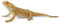 CollectA Bartagame, Eidechse